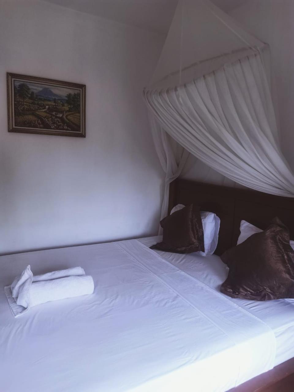 Fishermen'S Guesthouse アメッド エクステリア 写真